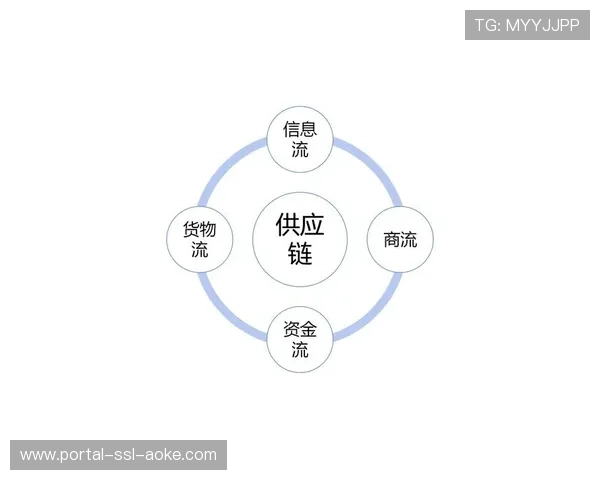 数字化供应链管理优化体育器材配送效率 数字化供应链管理优化体育器材配送效率